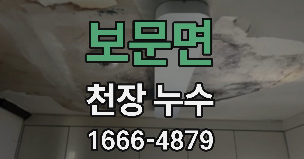보문면 천장 누수