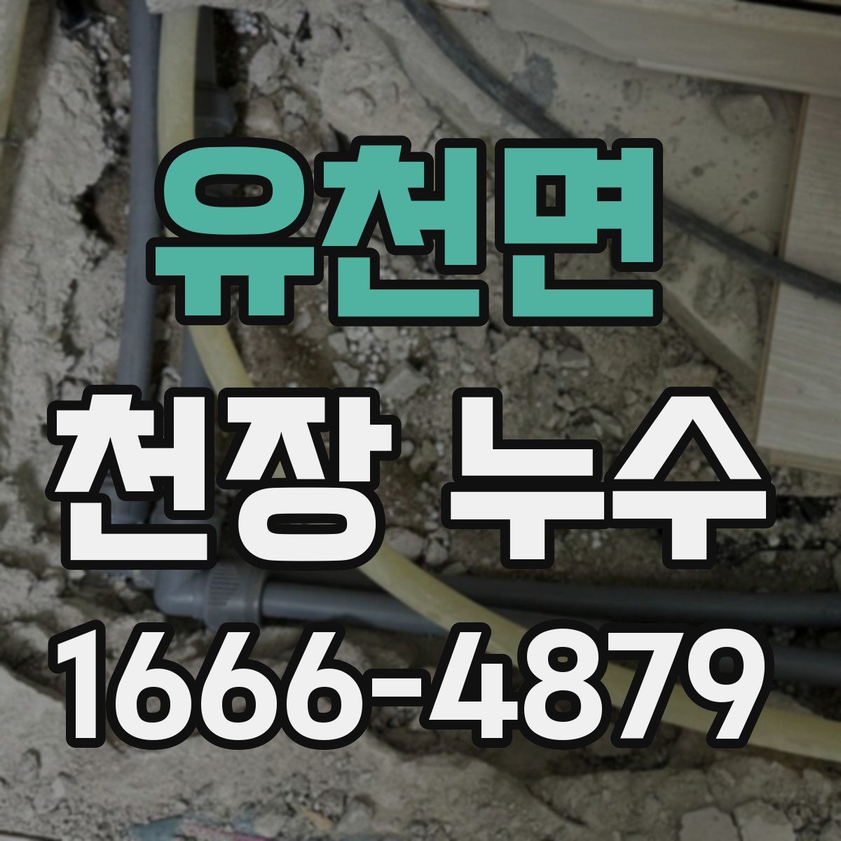 유천면 천장 누수