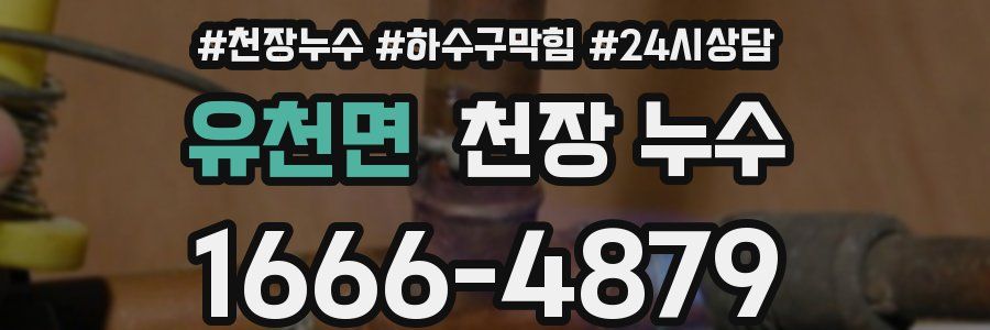 유천면 천장 누수