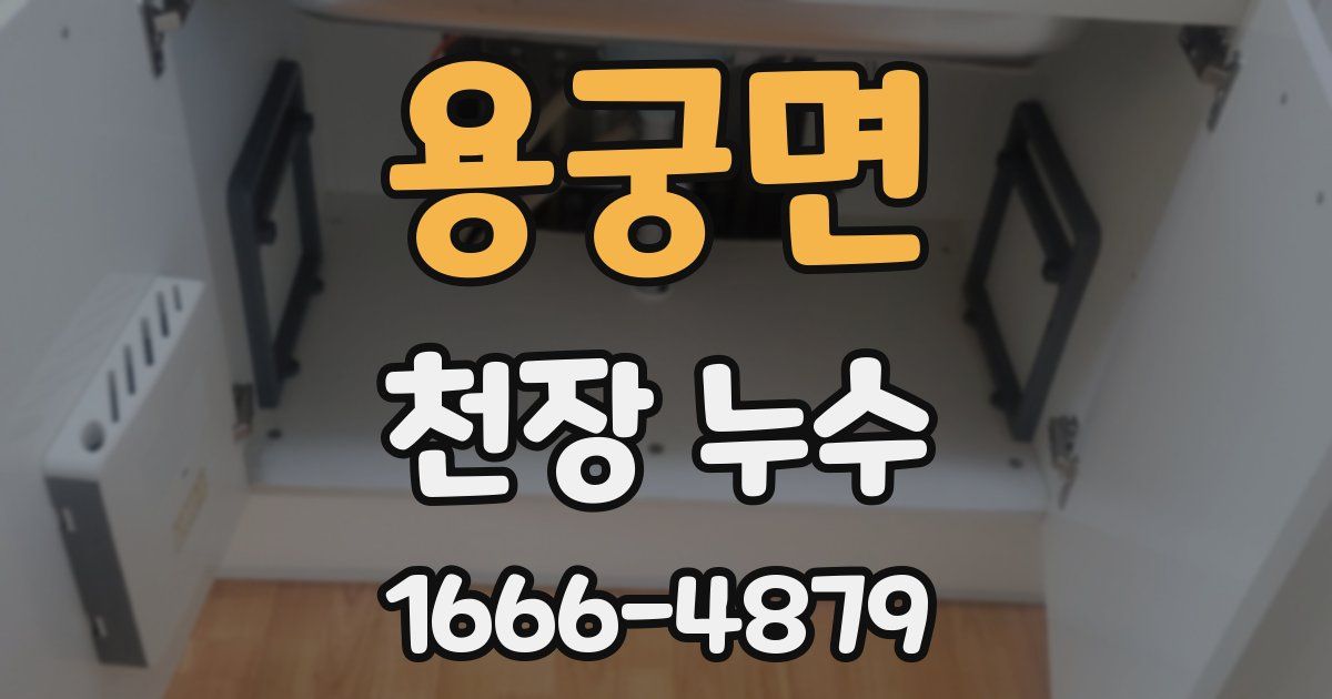 용궁면 천장 누수