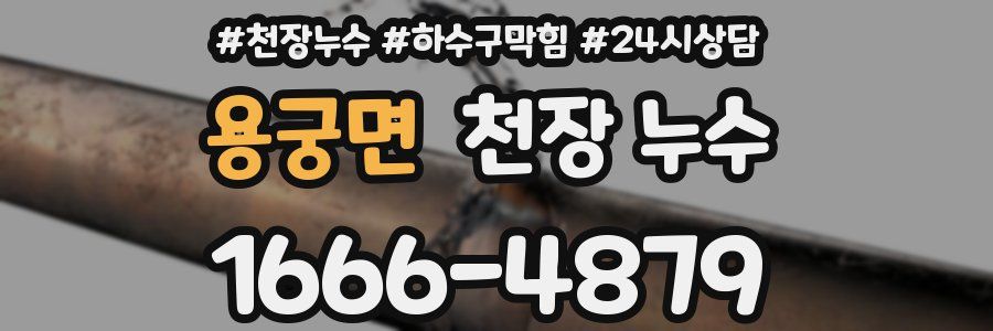 용궁면 천장 누수