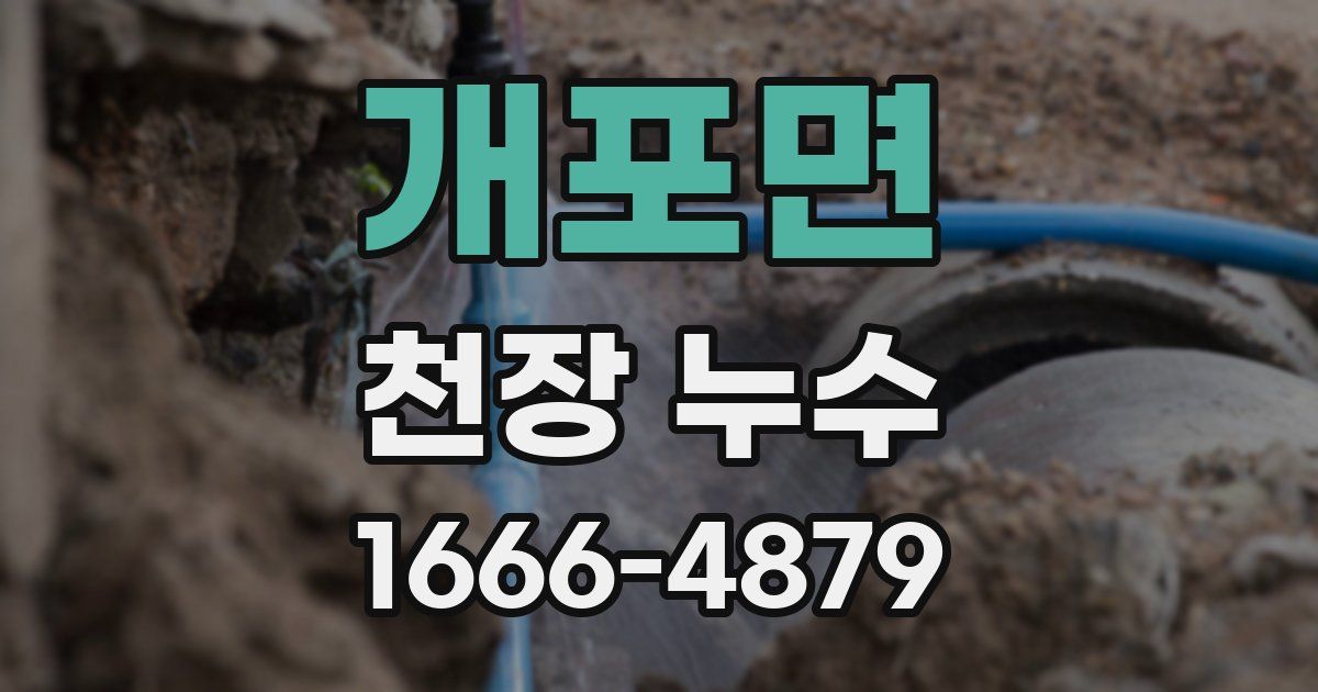 개포면 천장 누수