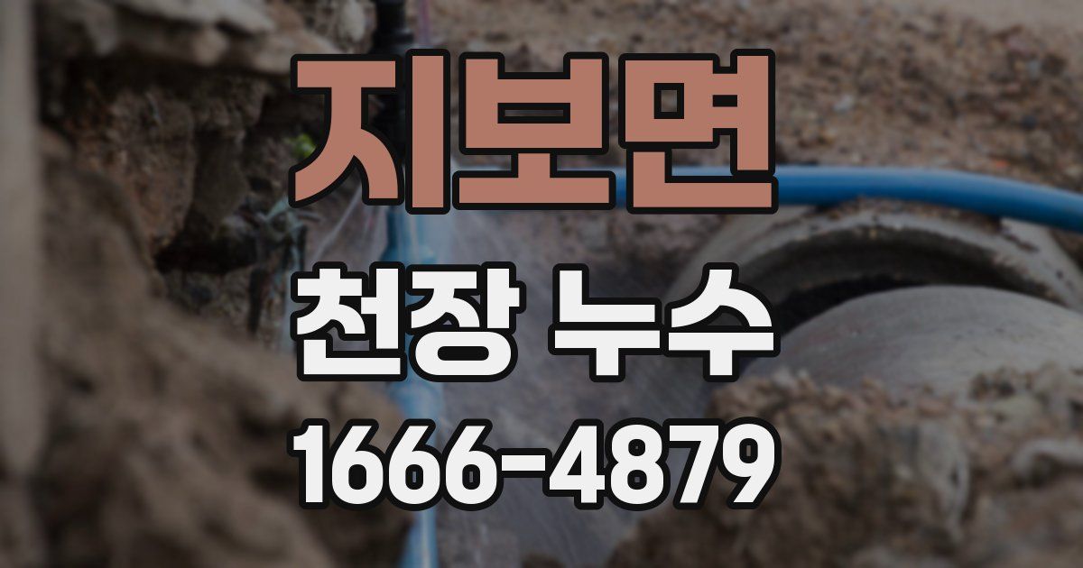 지보면 천장 누수