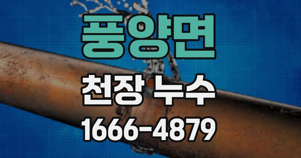 풍양면 천장 누수