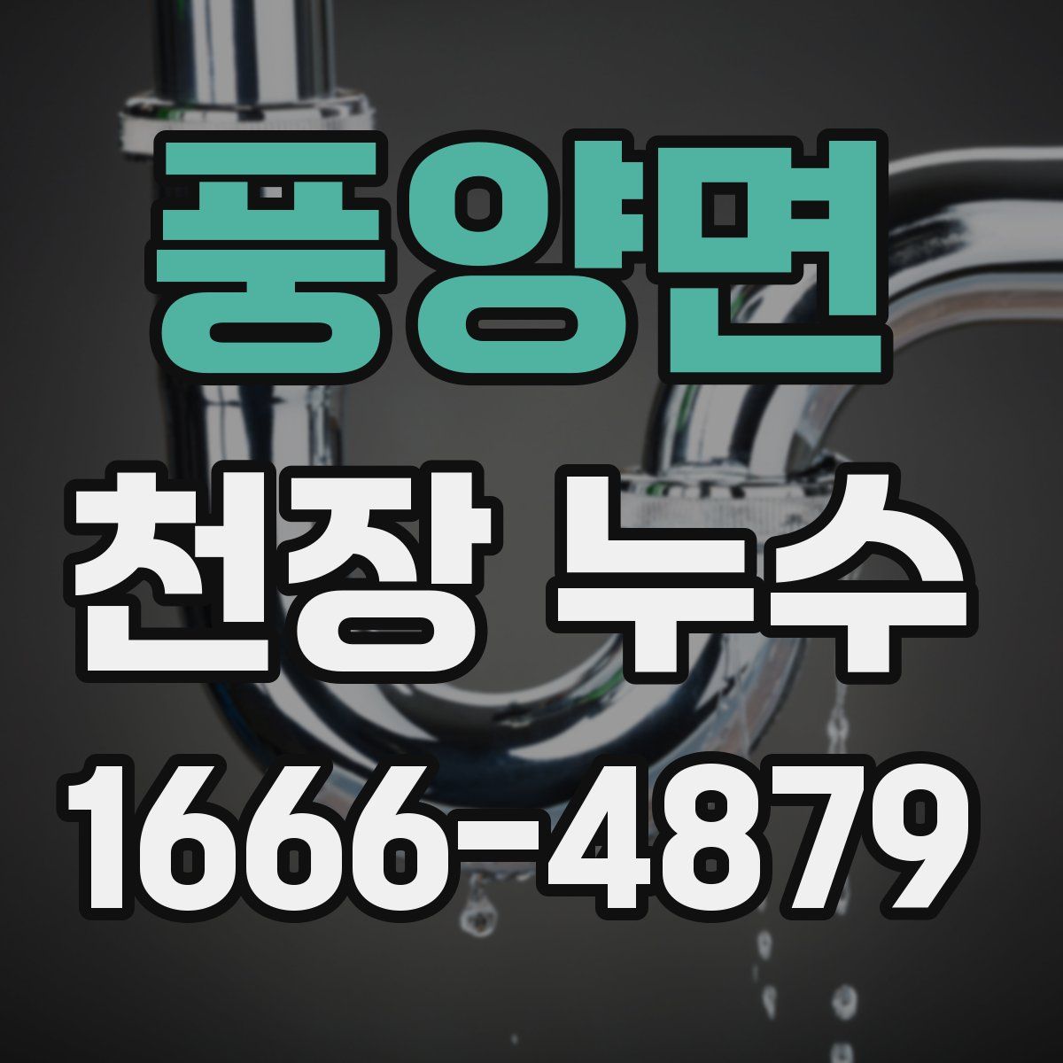 풍양면 천장 누수