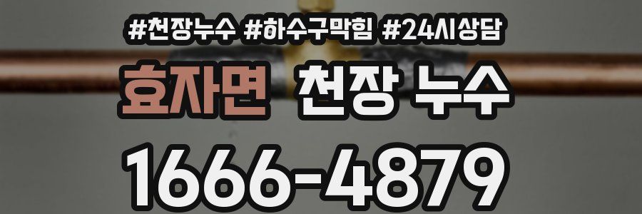 효자면 천장 누수