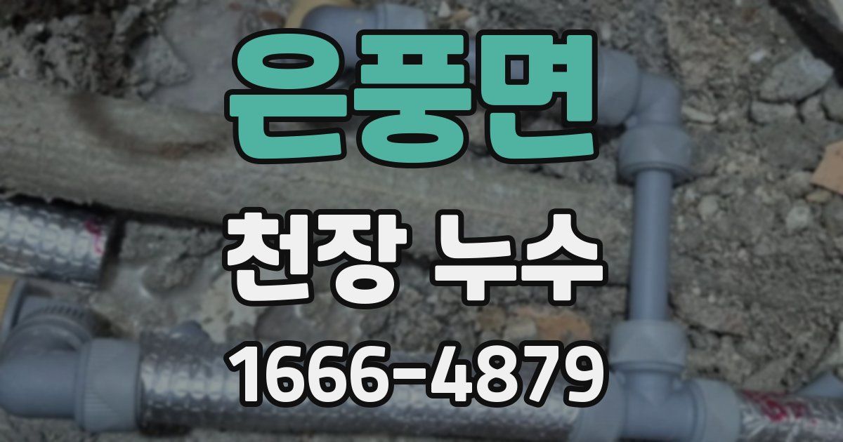 은풍면 천장 누수