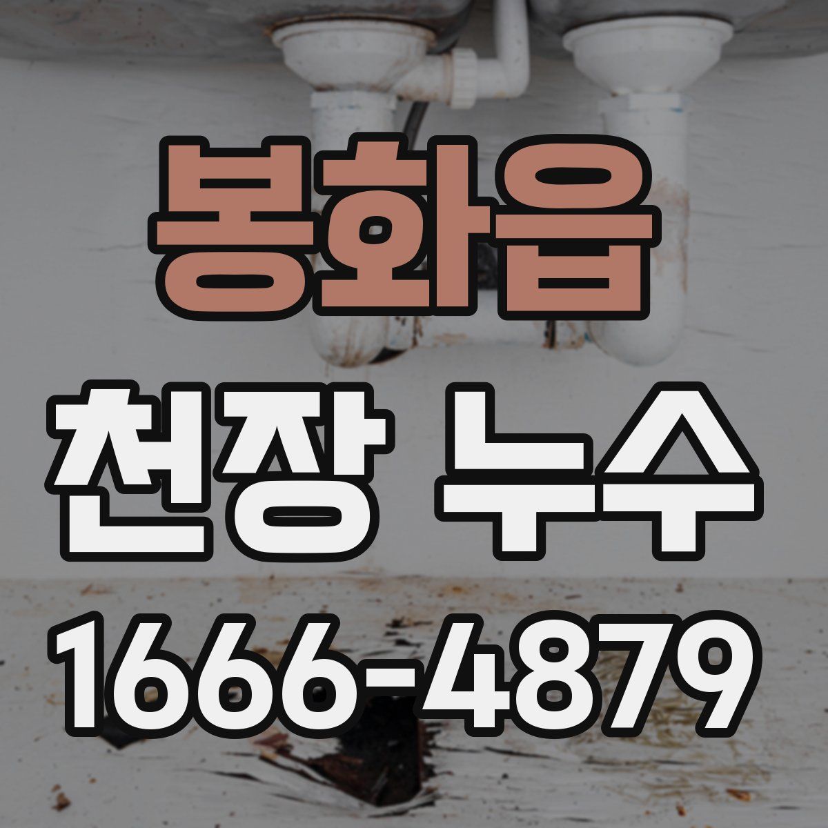 봉화읍 천장 누수