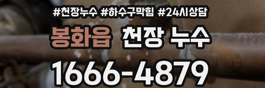 봉화읍 천장 누수