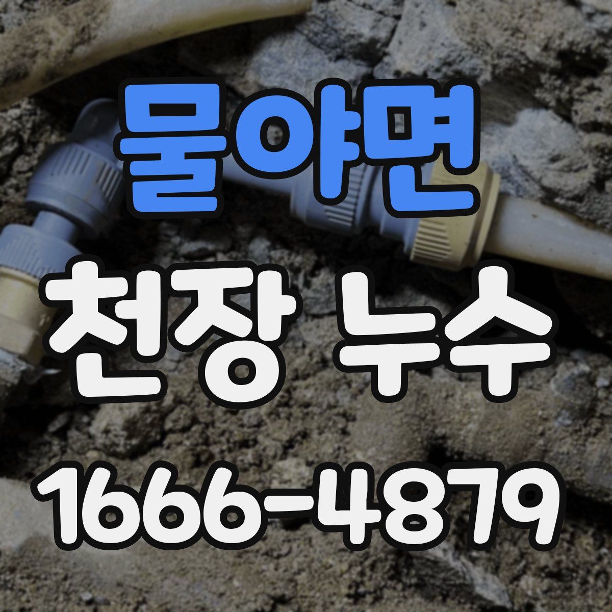 물야면 천장 누수