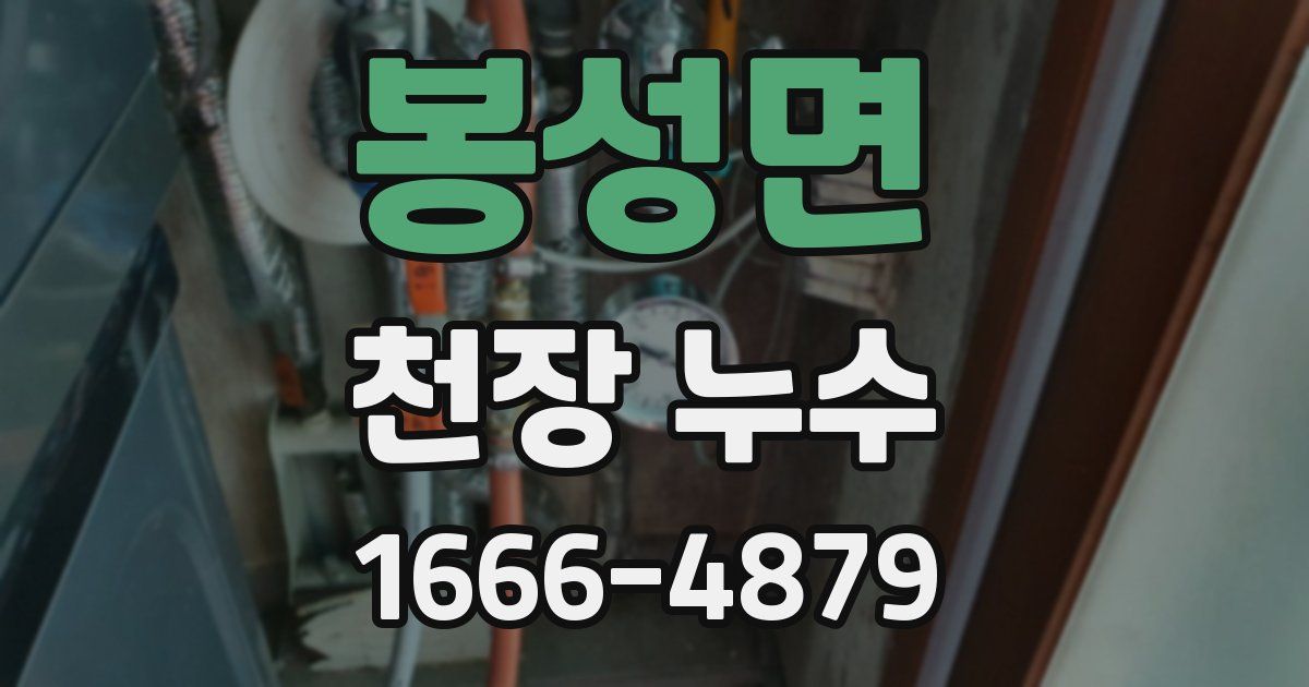 봉성면 천장 누수