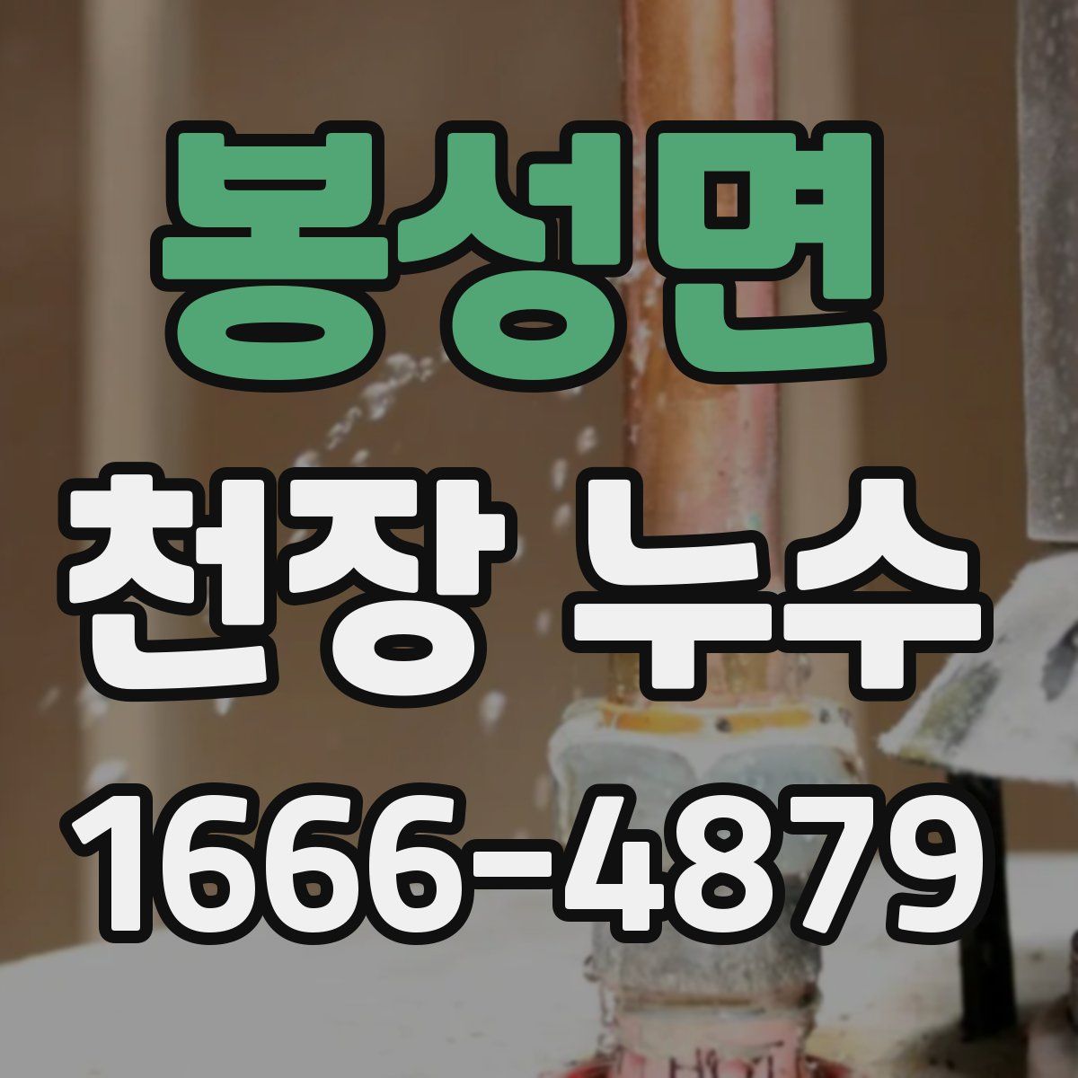 봉성면 천장 누수