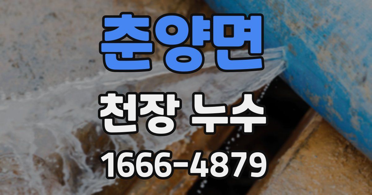 춘양면 천장 누수