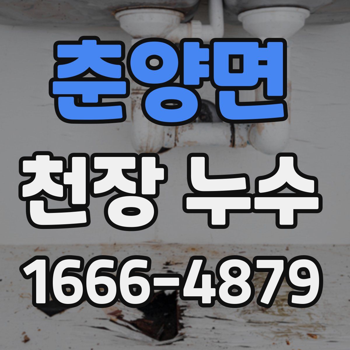 춘양면 천장 누수