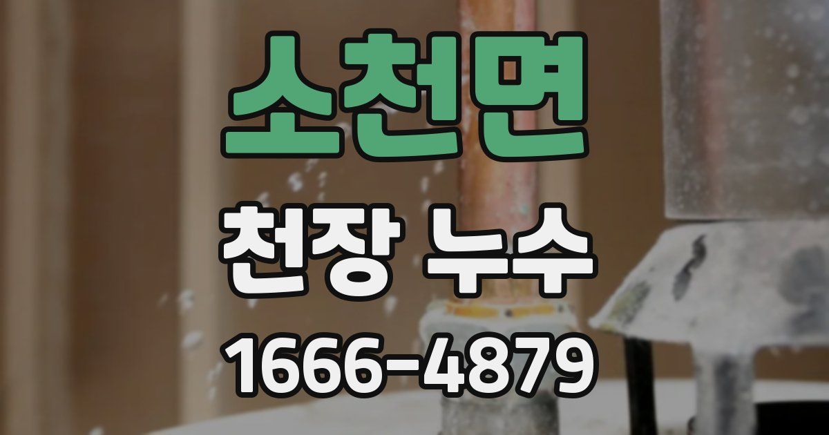 소천면 천장 누수