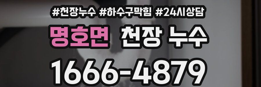 명호면 천장 누수