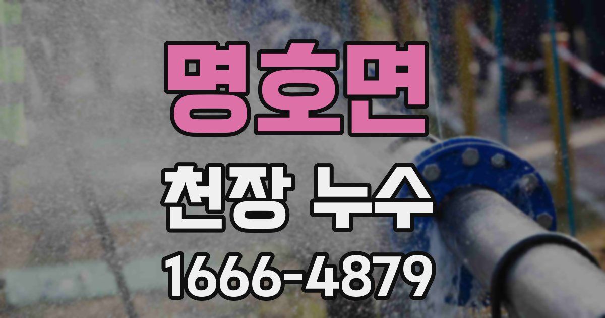 명호면 천장 누수