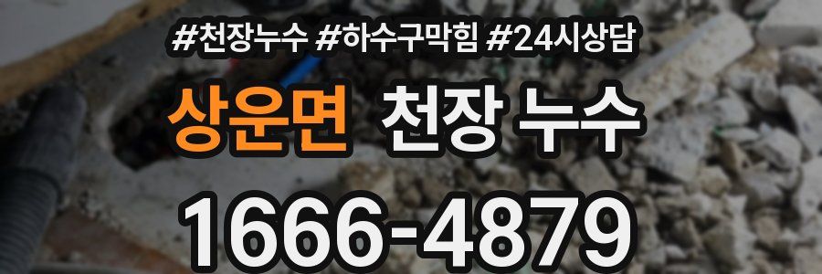 상운면 천장 누수