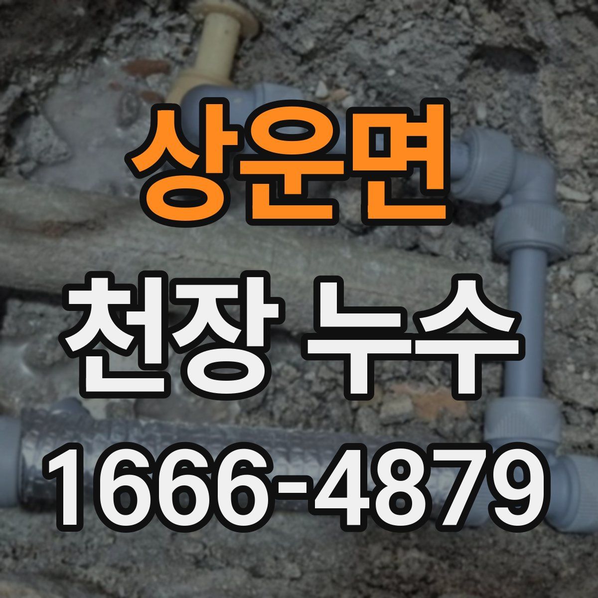 상운면 천장 누수