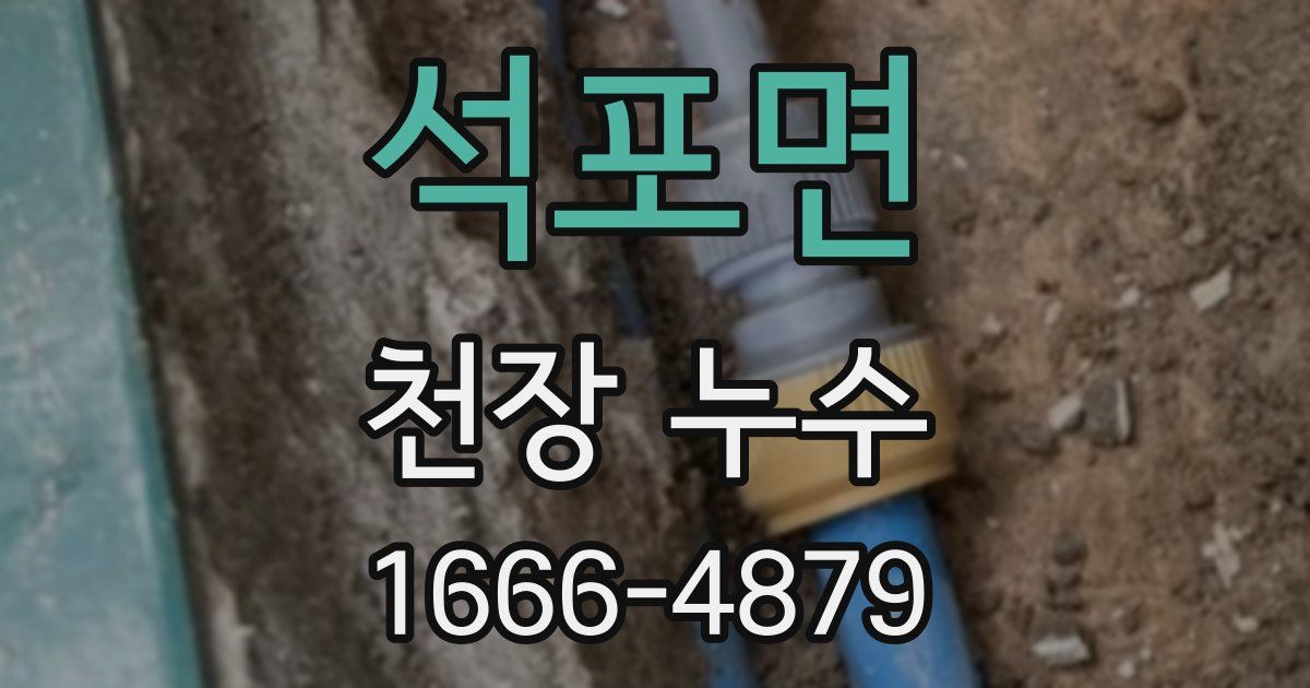 석포면 천장 누수