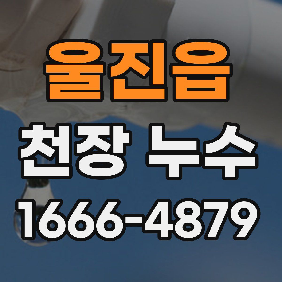 울진읍 천장 누수