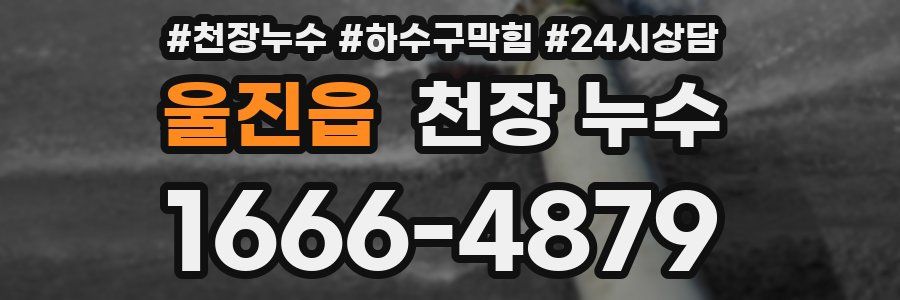 울진읍 천장 누수