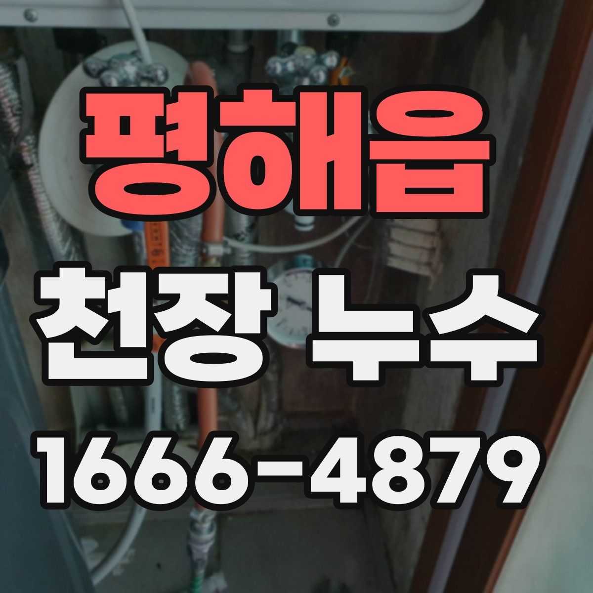 평해읍 천장 누수