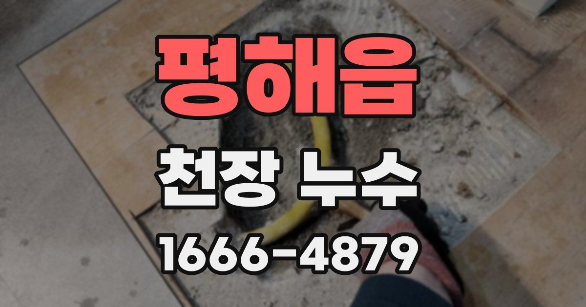 평해읍 천장 누수