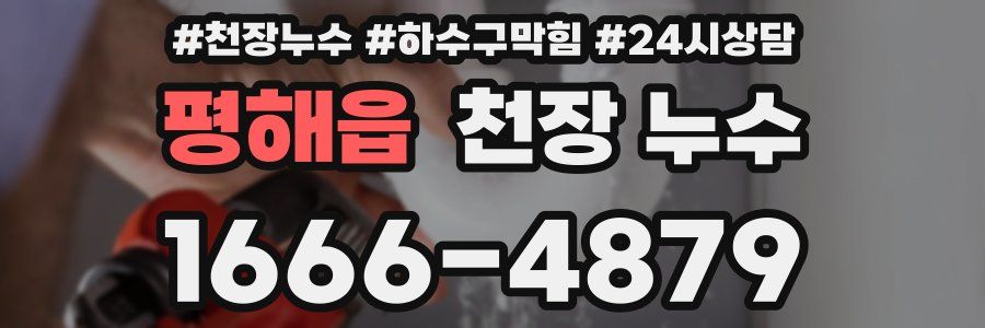 평해읍 천장 누수