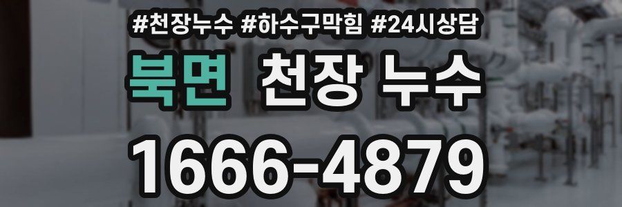 북면 천장 누수