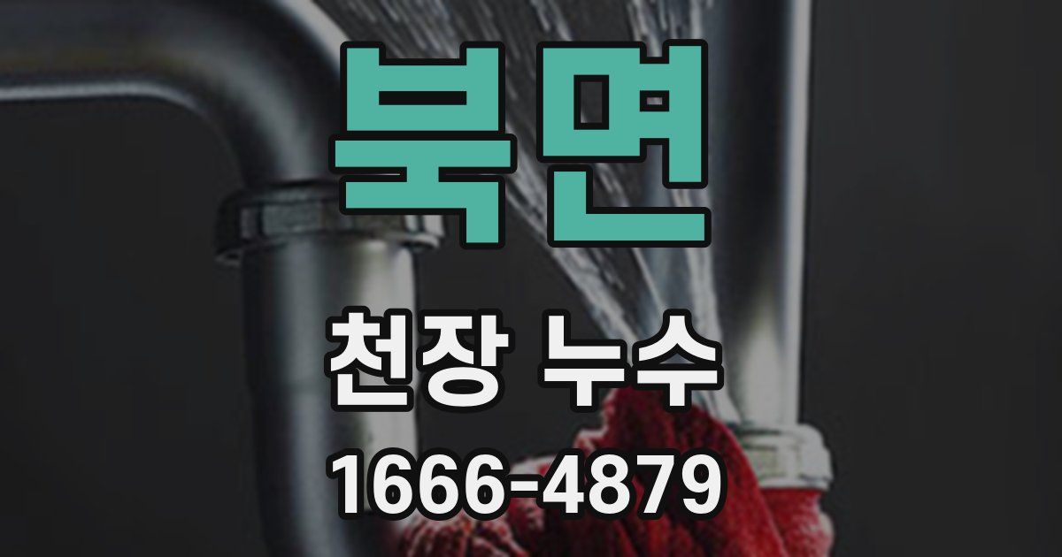 북면 천장 누수