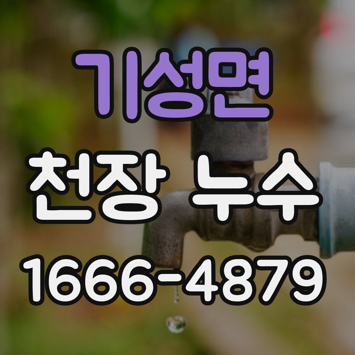 기성면 천장 누수