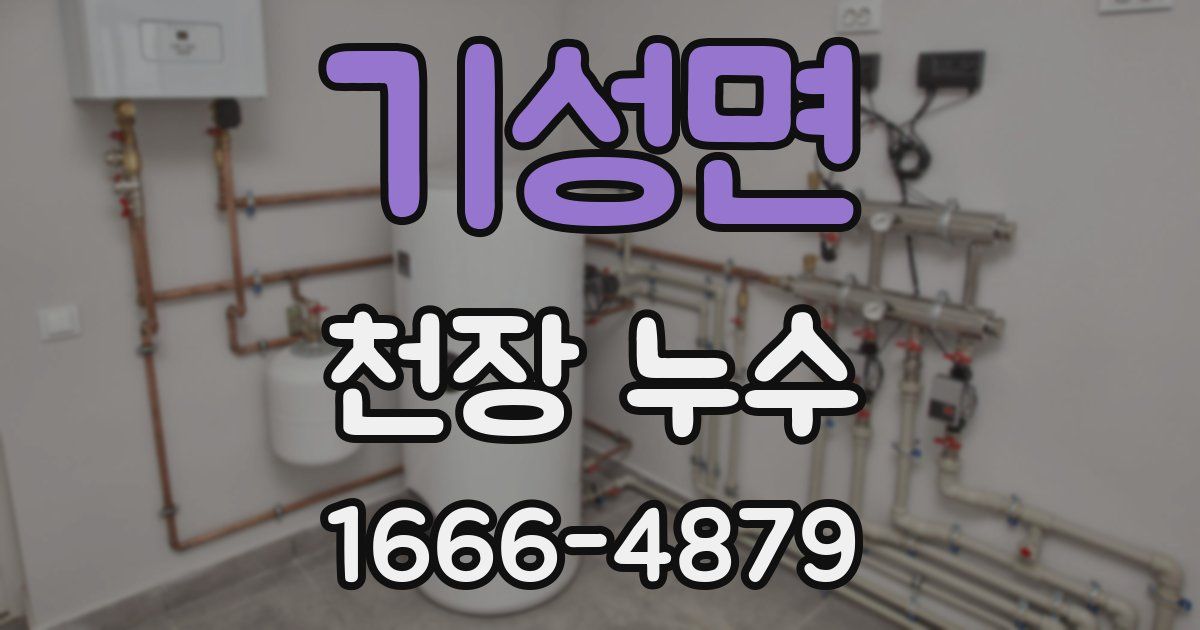 기성면 천장 누수