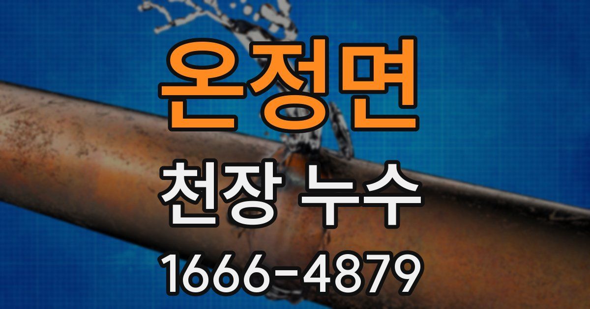 온정면 천장 누수