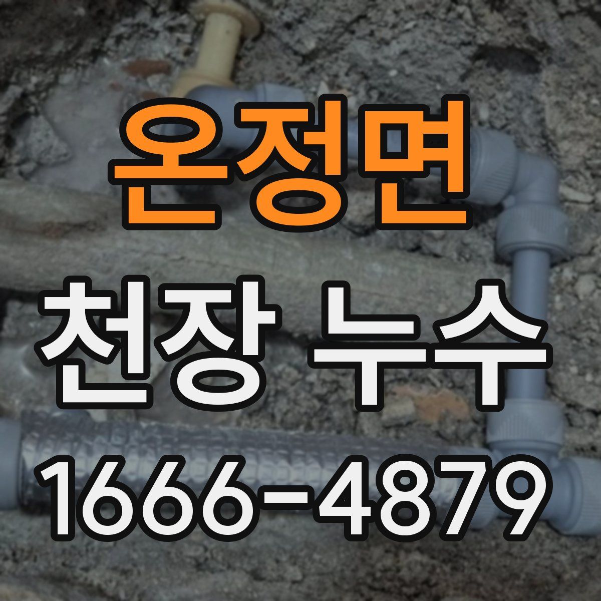 온정면 천장 누수