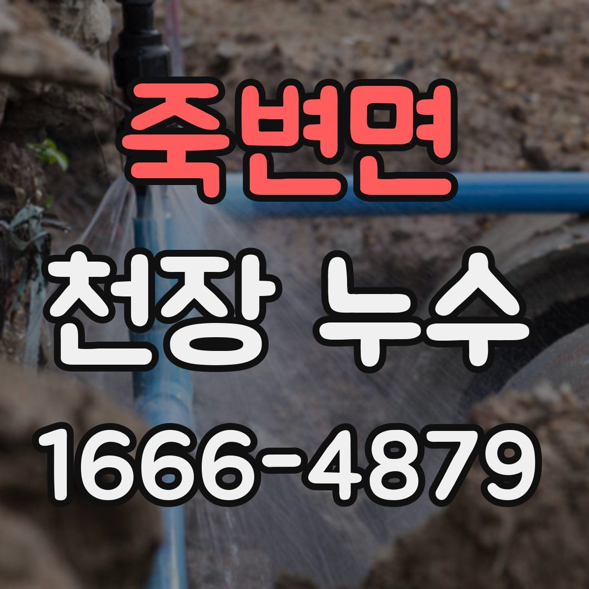 죽변면 천장 누수