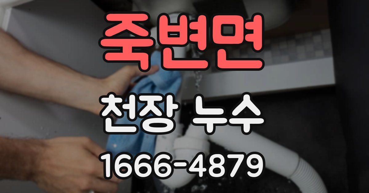 죽변면 천장 누수