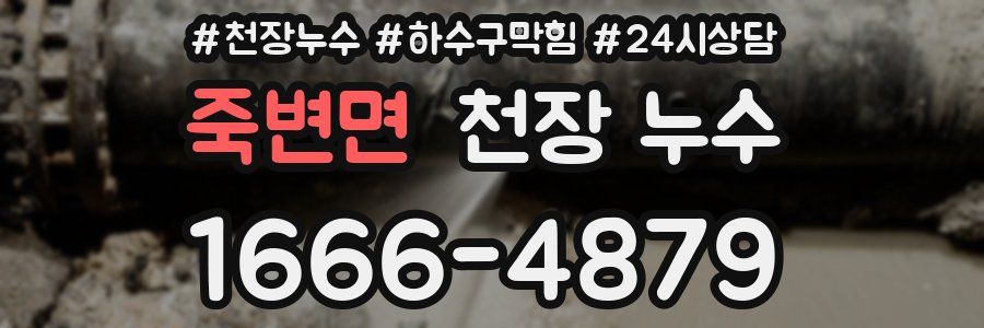 죽변면 천장 누수