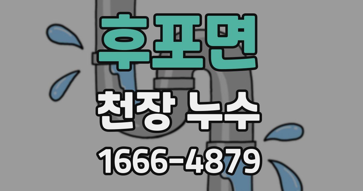 후포면 천장 누수