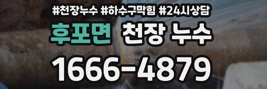 후포면 천장 누수