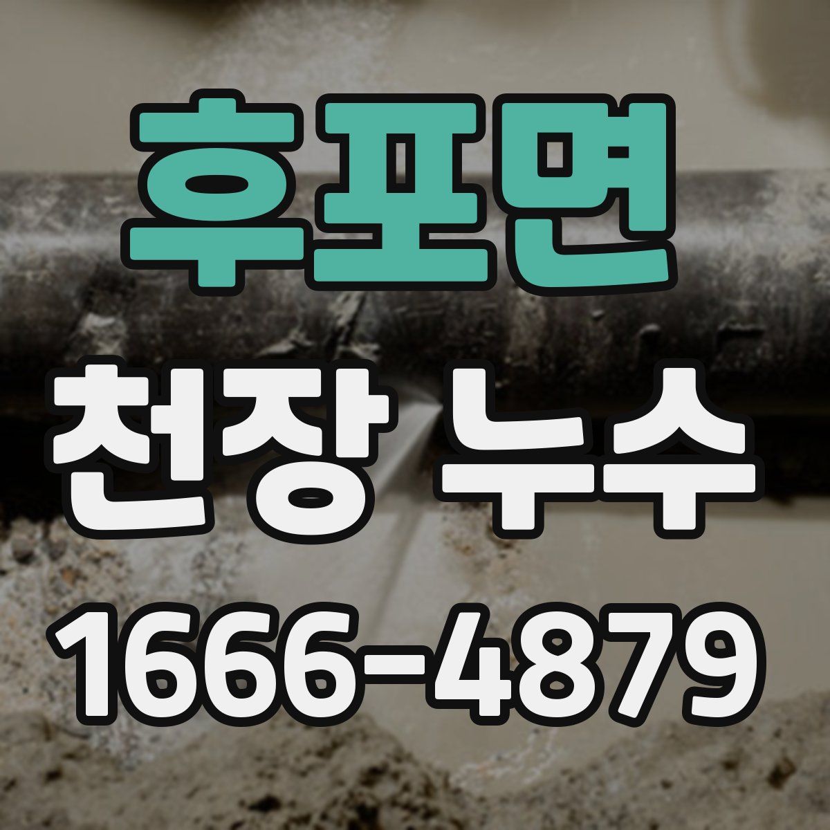 후포면 천장 누수