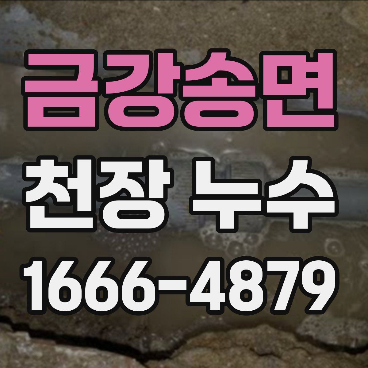 금강송면 천장 누수