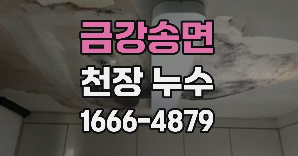 금강송면 천장 누수