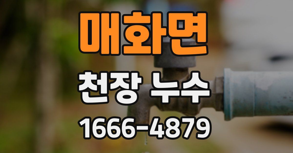 매화면 천장 누수