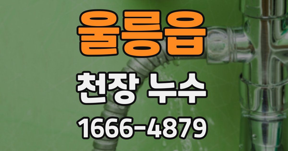 울릉읍 천장 누수