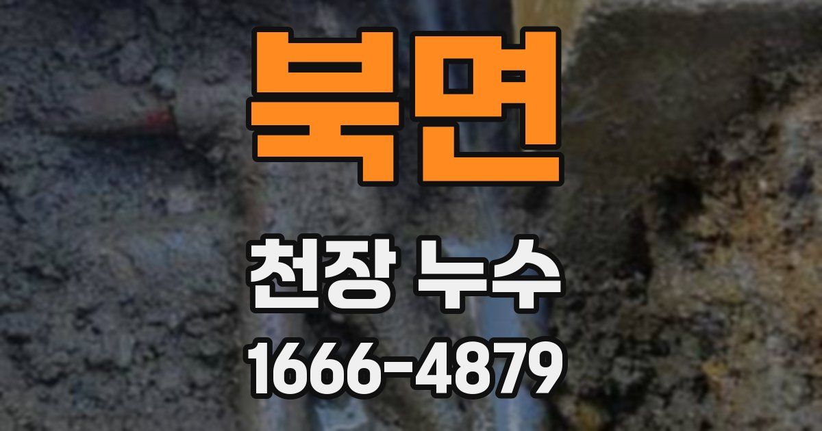 북면 천장 누수