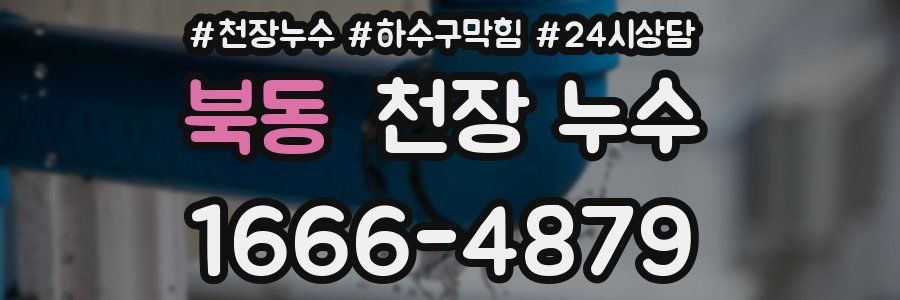 북동 천장 누수