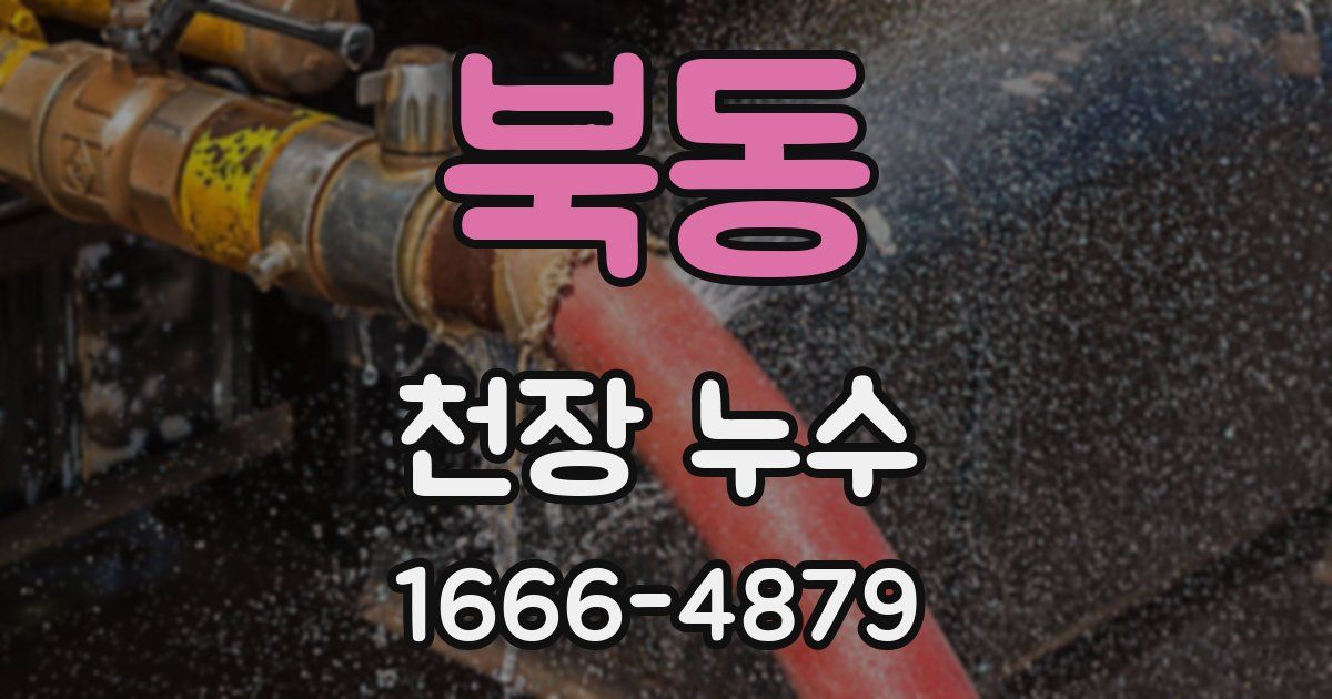 북동 천장 누수