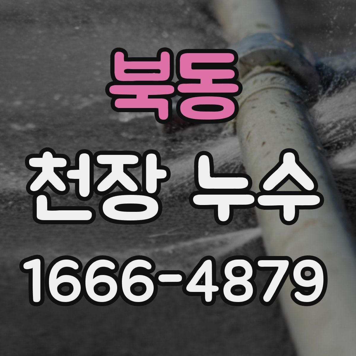 북동 천장 누수