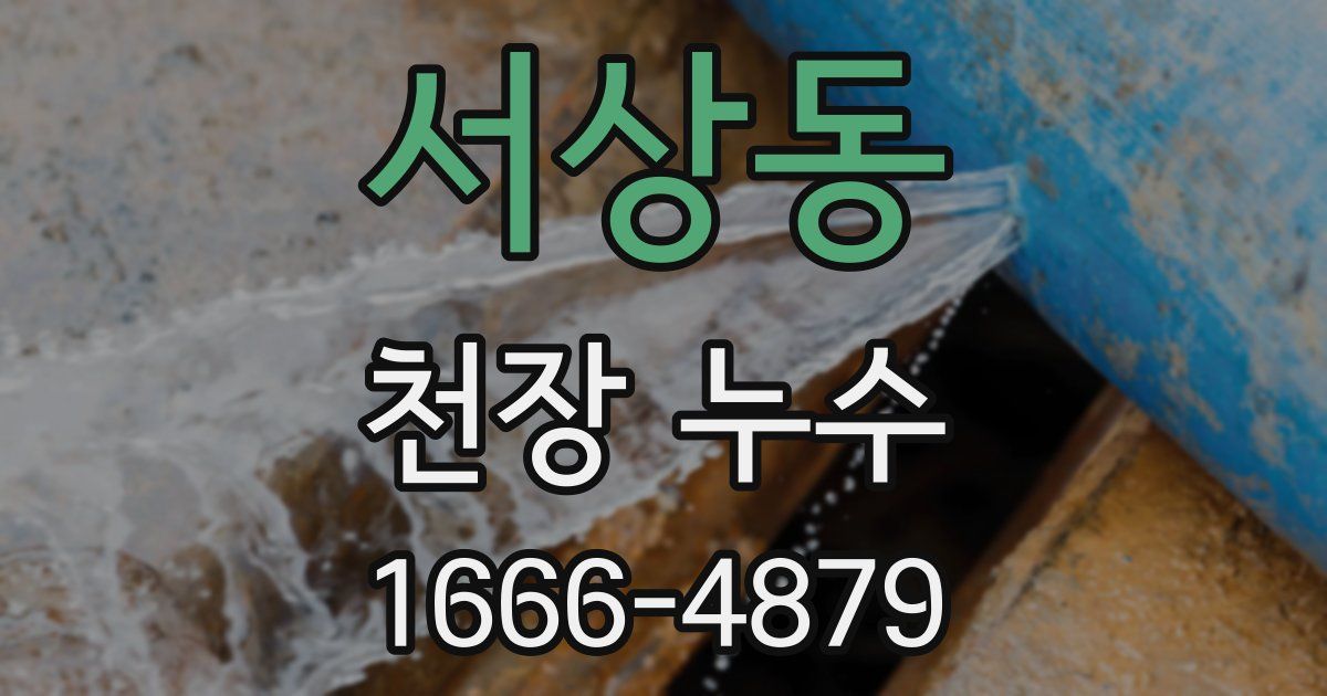 서상동 천장 누수